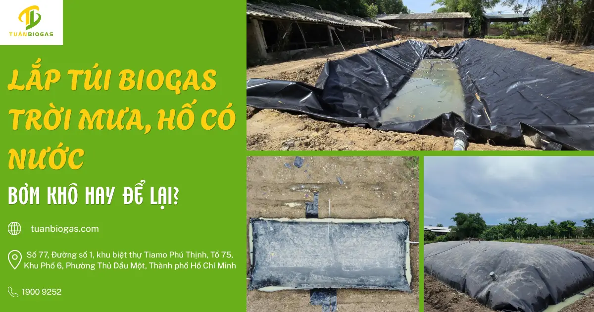 Lắp Túi Biogas Trời Mưa, Hố Có Nước: Bơm Khô Hay Để Lại?